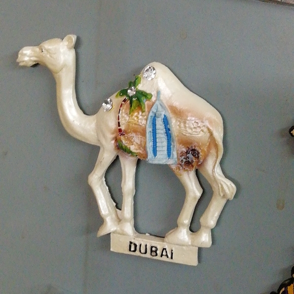 Matel magnet for referegrster showpiece - Picture 12 of 12